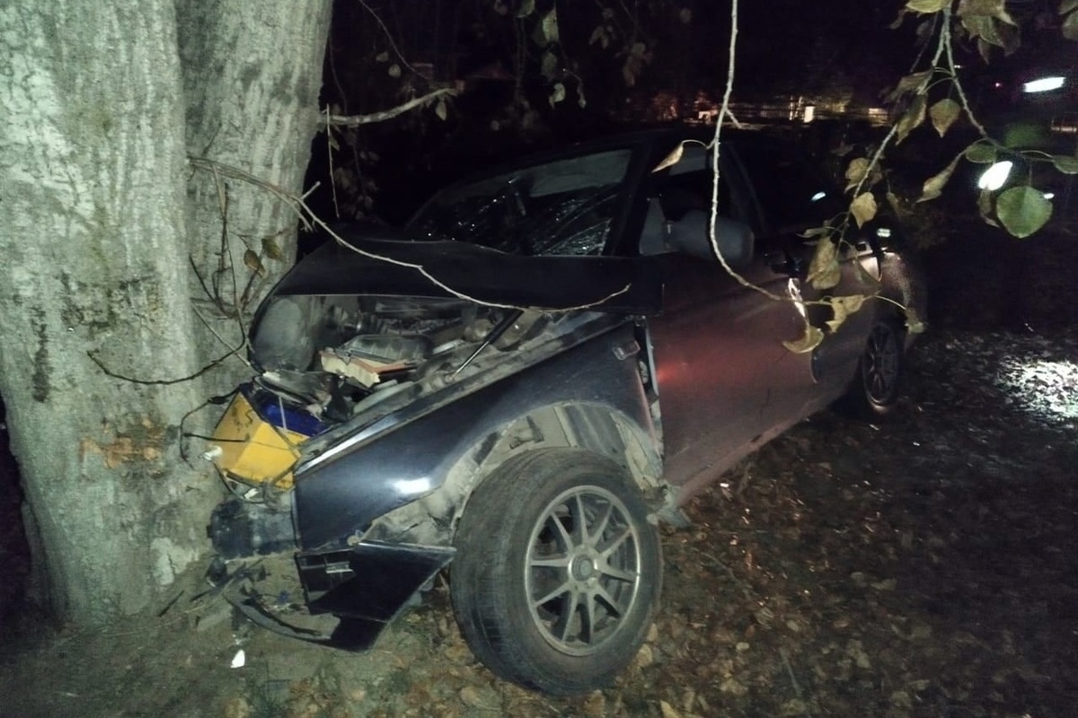 ВАЗ-21101 влетел в дерево в Ивделе, пострадали два человека - МК  Екатеринбург