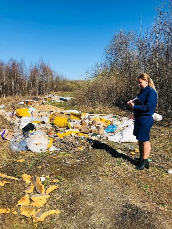 После вмешательства прокуратуры в Кузбассе ликвидировали две несанкционированные свалки