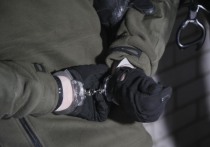 В Подмосковье задержан подозреваемый в избиении мотоциклиста до смерти после ДТП