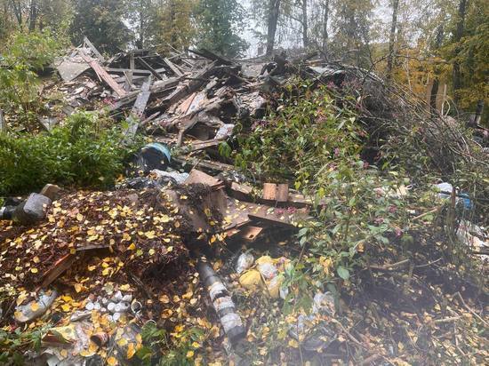 В Липках обнаружены свалки руин аварийного жилья