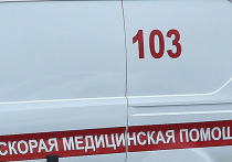 Смертельная авария с участием лося произошла в ночь на среду на автодороге Московское большое кольцо