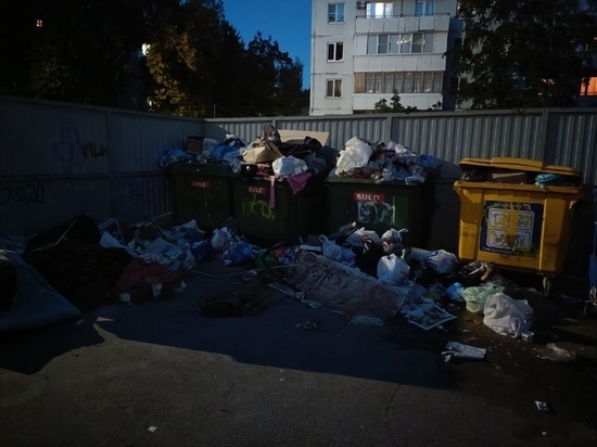 Интерактив: мусорные горы в центре Пскова