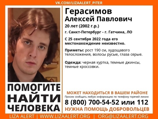 В Гатчине на прошлой неделе пропал 20-летний парень