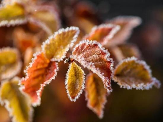 Зима близко: костромское МЧС предупреждает костромичей о заморозках