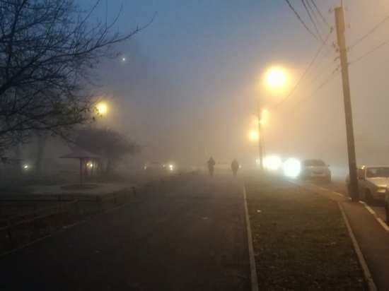 МЧС предупредило тамбовчан о тумане в ближайшие часы