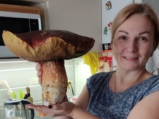 Жительница Петрозаводска нашла в лесу трехкилограммовый гриб
