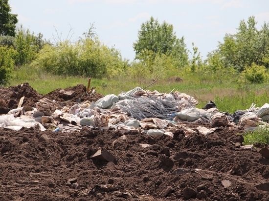 В Орловской области ликвидировали 11 свалок с 888 кубометрами мусора