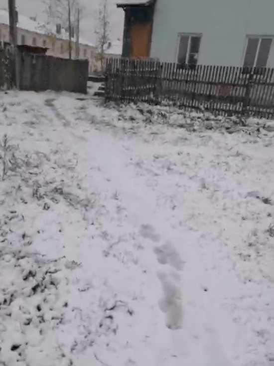 Еще в одном кузбасском городе выпал снег