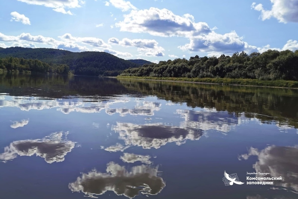 Комсомольский на Амуре заповедник животные