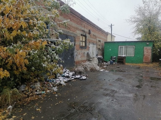 В Омске с охраняемой только собакой СТО похитили металла почти на 100 тысяч рублей