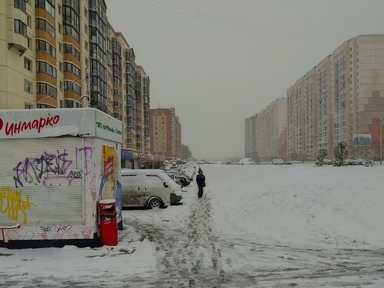 Прогноз погоды на предстоящую зиму в Новосибирске представил Росгидромет