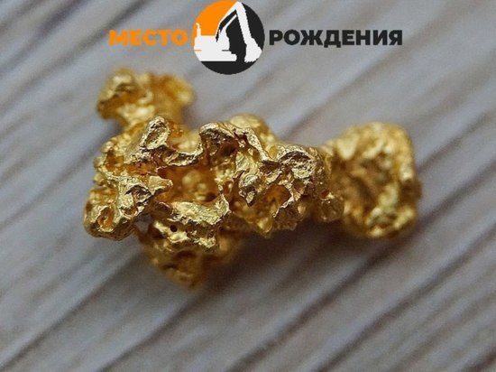 Жителя Якутии осудили в Забайкалье за попытку сбыта слитков золота на 12 млн р