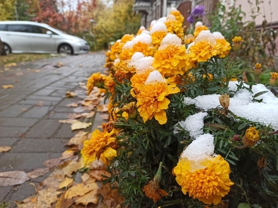 Синоптики прогнозируют мокрый снег в Томске и области в последний день сентября