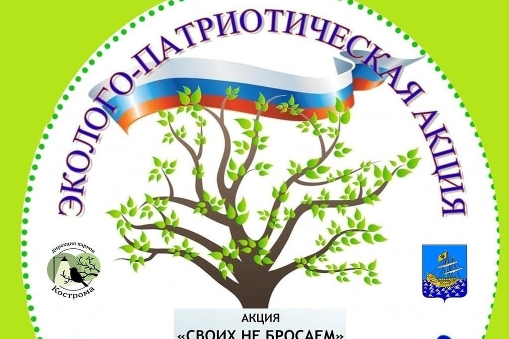 Костромичей 1 октября приглашают на эколого-патриотическую акцию в Парк Победы
