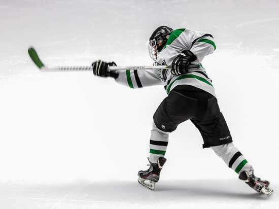 Смерть с хоккейной клюшкой: почему травм и трагедий на льду стало больше