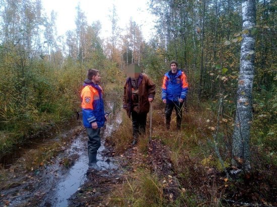 Заблудившийся мужчина провел ночь в лесу около деревни Бор