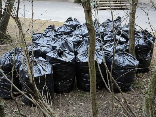 В Ленобласти начали строить первый комплекс глубокой переработки мусора «Кингисепп»