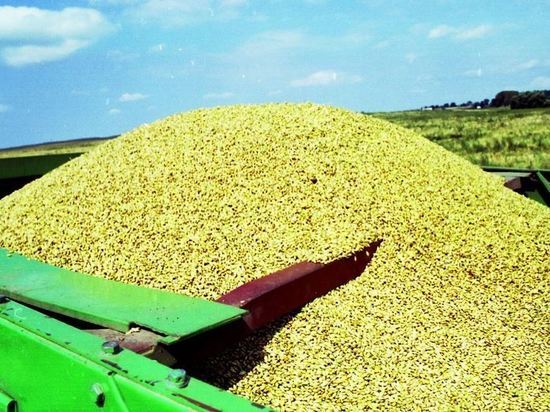 Глава ВТБ Костин призвал запретить закупки российского зерна Западом