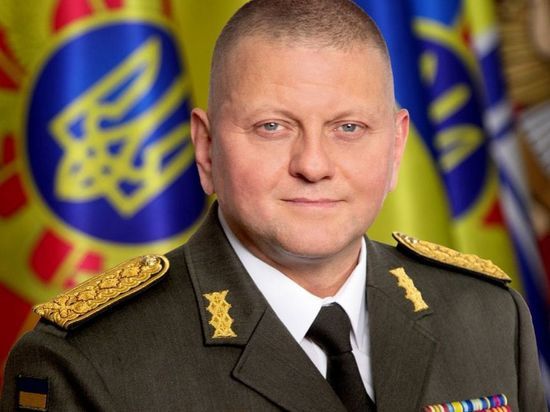 Главком ВСУ Залужный заявил о похвале от командования НАТО