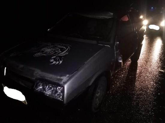 В Тверской области два человека пострадали в столкновении «ВАЗа» с лосём