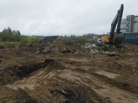 Жители Петрозаводска могут попрощаться со стихийной свалкой на Древлянке