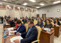 Руководителей постоянных комитетов утвердили в Барнаульской городской Думе