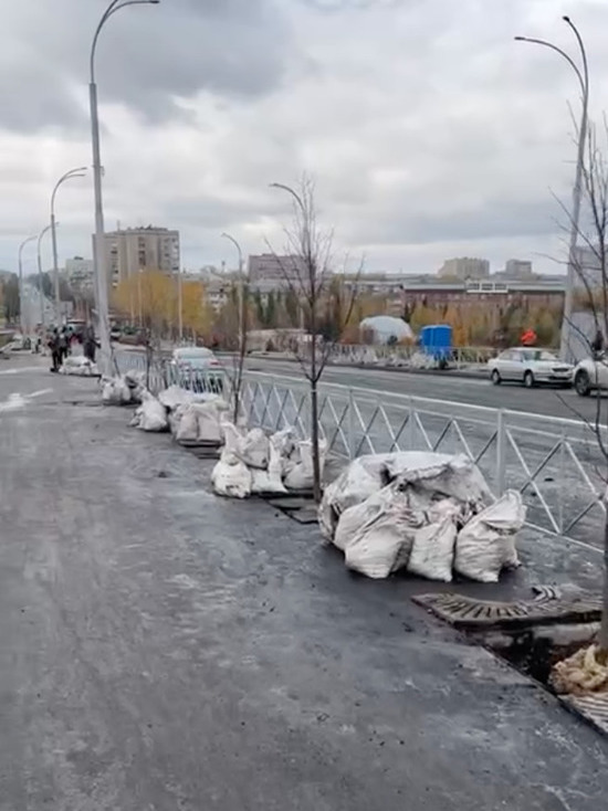 В Кемерове на Красноармейском мосту начали высаживать липы