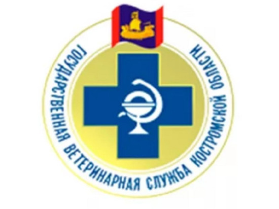 Костромская ветеринарная служба стала второй по эффективности работы в ЦФО