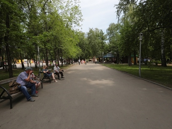 В новосибирском Академгородке появится новый парк площадью 13 гектаров