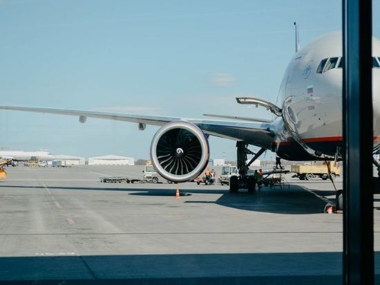 Земельный участок с терминалом кемеровского аэропорта продали за 138 млн рублей