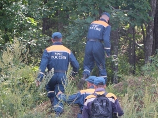 Калининградские спасатели искали потерявшегося грибника на Куршской косе