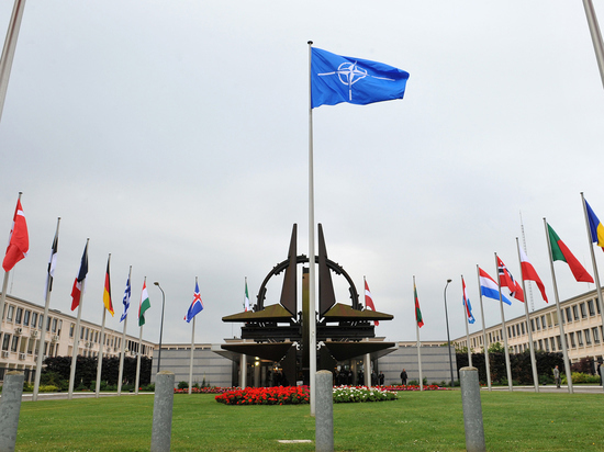 «Многие страны НАТО будут против этого»