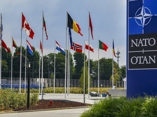 Politico: в США не ожидали заявки Украины на ускоренное вступление в НАТО