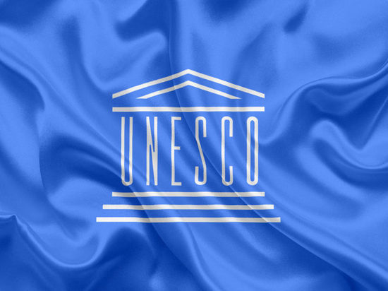 «Побежали, как крысы»: недружественные РФ государства организовали демарш на конференции ЮНЕСКО