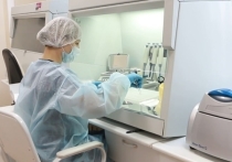 За прошлые сутки в Забайкалье выявлено 209 подтвержденных случаев заражения коронавирусом