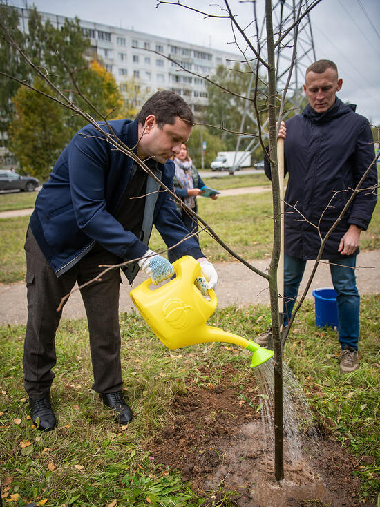 Губернатор Алексей Островский посадил дерево в аллее «Лес Победы»