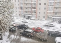 В настоящее время в регионе наблюдается неблагоприятная погодная обстановка – порывистый ветер, мокрый снег с дождем, гололедица на дорогах, туман.