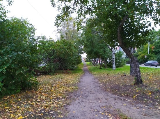 1 октября в Архангельской области будет облачно с прояснениями