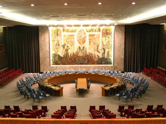 Китай и Индия отказались от голосования в Совбезе ООН по Донбассу