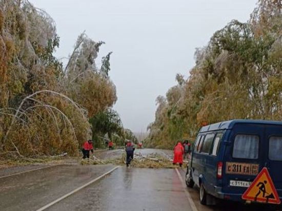 В Башкирии из-за мокрого снега на трассу опустились деревья