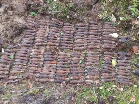 Вблизи калужской деревни обнаружено 165 взрывоопасных предметов