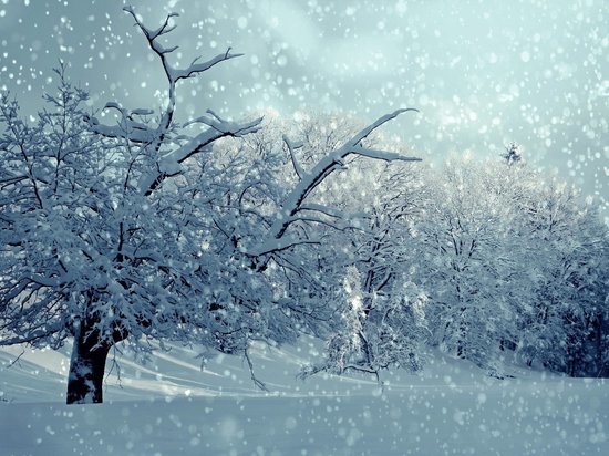 Синоптики рассказали, какой будет зима в Воронежской области