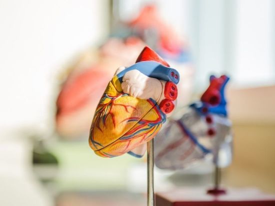 Как сохранить здоровое сердце: советы кардиолога