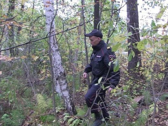 В КЧР полиция двое суток искала пропавшего в лесу жителя Невинномысска