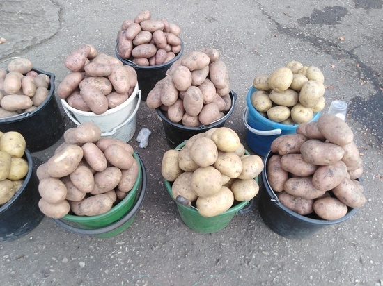 Саратовцы удивлены ценами на картошку