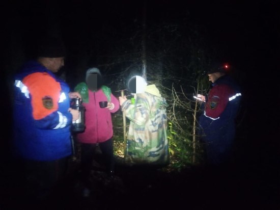 Спасатели вывели из леса около деревни Бабино трех пожилых людей