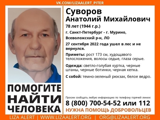 Ушедший в лес пенсионер пропал в Мурино