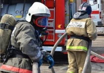 В Калининграде в СНТ «Колос» 1 октября сгорела одноэтажная баня размером десять на восемь метров. Об этом сообщает пресс-служба регионального МЧС.