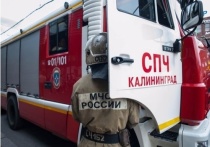 В Гурьевском районе в поселке Дворики на площади 50 квадратных метров горела стерня. Об этом сообщает пресс-служба МЧС по Калининградской области.
