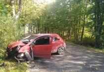 В Гурьевском районе 40-летний водитель Opel съехал в кювет, после чего машину по инерции отбросило на проезжую часть. Об этом сообщает пресс-служба ГИБДД по Калининградской области.